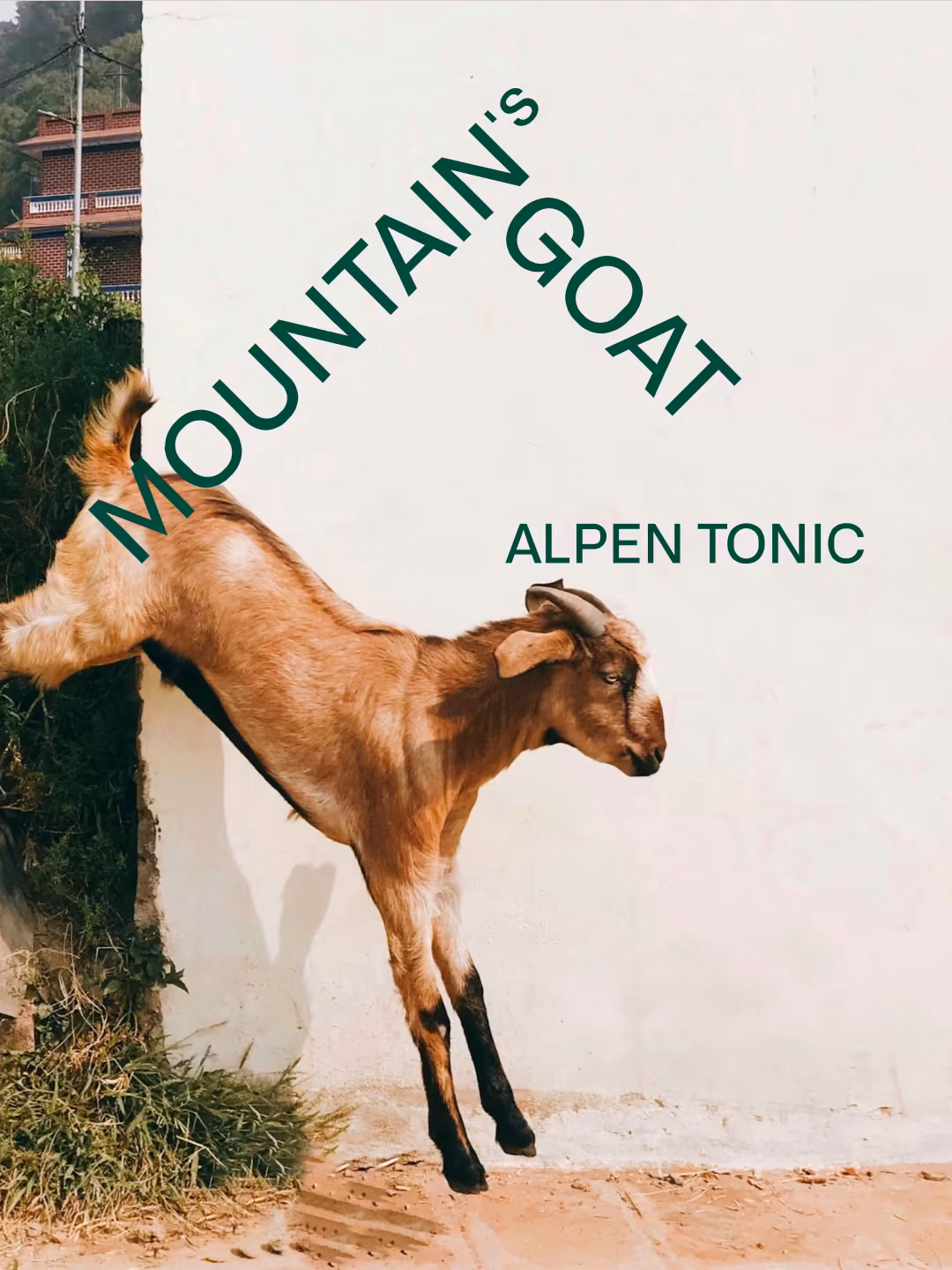 Wortbildmarke von Mountain's Goat in Grün über einer Ziege, die vor einer weißen Wand springt